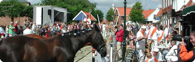 Ringrijden op 3e pinksterdag op het dorpsplein te Koudekerke (2005)